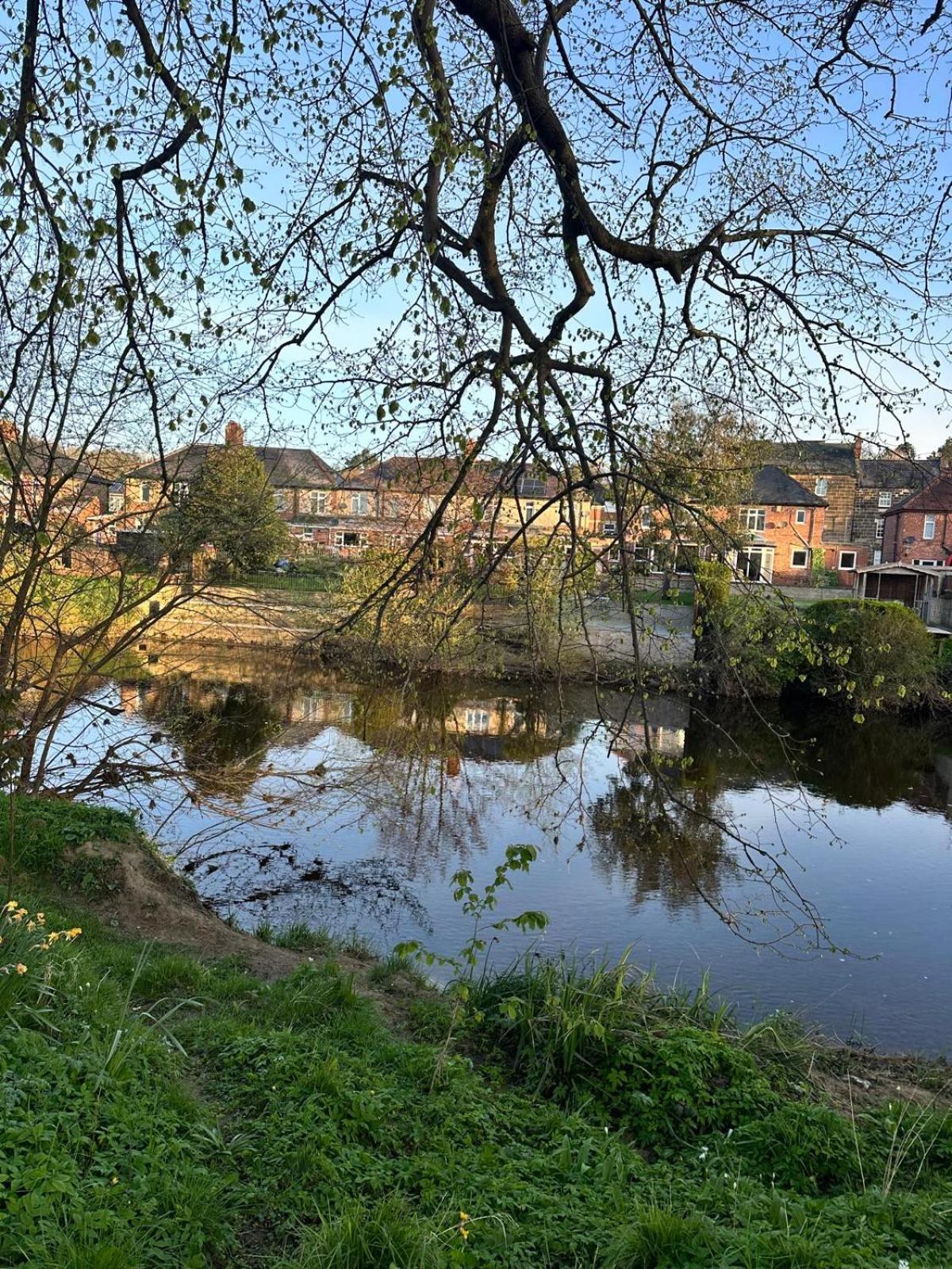 The Secret Cottage - Morpeth Exteriör bild